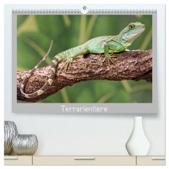 Terrarientiere (hochwertiger Premium Wandkalender 2026 DIN A2 quer), Kunstdruck in Hochglanz