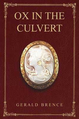 Ox In The Culvert (eBook, ePUB)