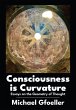 Consciousness is Curvature (eBook, ePUB) - Bild 1