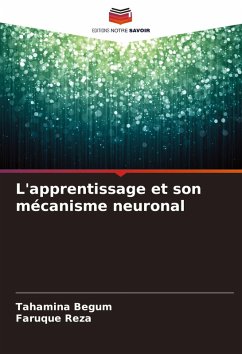 Cover L'apprentissage et son mécanisme neuronal