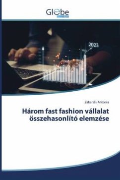 Három fast fashion vállalat összehasonlító elemzése Cover Három fast fashion vállalat összehasonlító elemzése