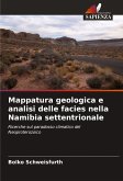 Mappatura geologica e analisi delle facies nella Namibia settentrionale