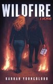 Wildfire (eBook, ePUB)