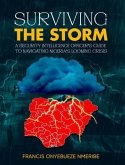 Surviving The Storm (eBook, ePUB)