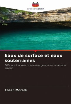 Cover Eaux de surface et eaux souterraines