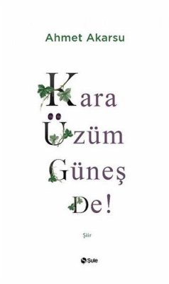 Cover Kara Üzüm Günes De