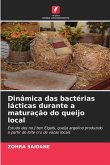Dinâmica das bactérias lácticas durante a maturação do queijo local Dinâmica das bactérias lácticas durante a maturação do queijo local