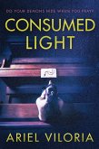 Consumed Light (eBook, ePUB)