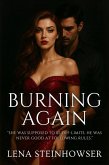 Burning Again (eBook, ePUB) Burning Again (eBook, ePUB)