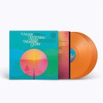 Unlock Your Mind With Morning Glory