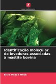 Identificação molecular de leveduras associadas à mastite bovina