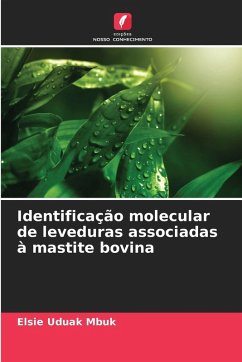 Cover Identificação molecular de leveduras associadas à mastite bovina