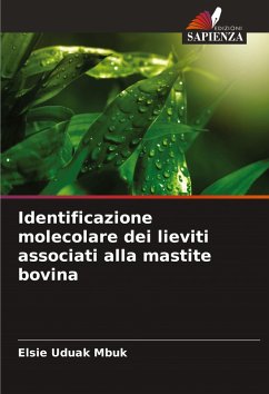 Cover Identificazione molecolare dei lieviti associati alla mastite bovina
