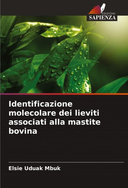 Identificazione molecolare dei lieviti associati alla mastite bovina Identificazione molecolare dei lieviti associati alla mastite bovina