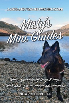 Cover Misty's Mini Guides