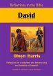 David (eBook, ePUB) - Bild 1