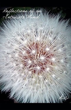Reflections of an Intricate Mind - H. C.