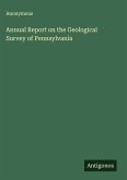 Annual Report on the Geological Survey of Pennsylvania