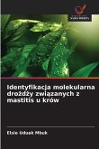 Identyfikacja molekularna dro¿d¿y zwi¿zanych z mastitis u krów Identyfikacja molekularna dro¿d¿y zwi¿zanych z mastitis u krów