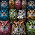 Owls & Cats