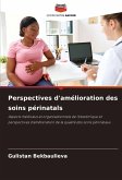Perspectives d'amélioration des soins périnatals Perspectives d'amélioration des soins périnatals