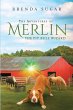 The Adventures of Merlin the Pit Bull... - Bild 1
