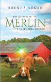 The Adventures of Merlin the Pit Bull Wizard The Adventures of Merlin the Pit Bull Wizard