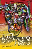 Little.Controlled.Fires. Little.Controlled.Fires.