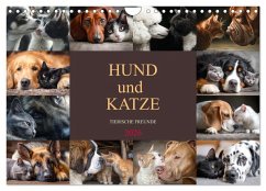 Cover Hund und Katze - Tierische Freunde (Wandkalender 2026 DIN A4 quer), CALVENDO Monatskalender