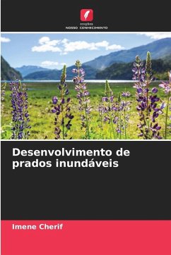 Cover Desenvolvimento de prados inundáveis