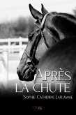 Après la chute (eBook, ePUB) Après la chute (eBook, ePUB)