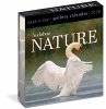 Audubon Nature Page-A-Day(r) Gallery... - Bild 1
