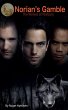 Norian's Gamble - Bild 1