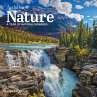 Audubon Nature Wall Calendar 2026 - Bild 1