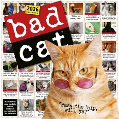 Cover Bad Cat Wall Calendar 2026