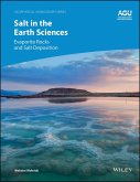 Salt in the Earth Sciences (eBook, PDF)