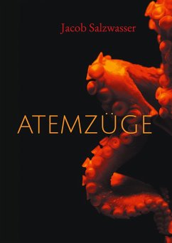 Cover Atemzüge (eBook, ePUB)