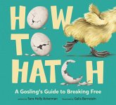 How to Hatch (eBook, ePUB)