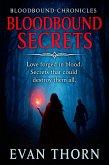 Bloodbound Secrets (Bloodbound Chronicles, #8) (eBook, ePUB)