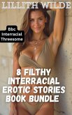 8 Filthy Interracial Erotic stories book bundle (eBook, ePUB)