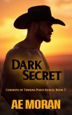 Dark Secret (Cowboys of Turning Point Ranch, #7) (eBook, ePUB)
