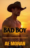 Bad Boy (Cowboys of Turning Point Ranch, #6) (eBook, ePUB)