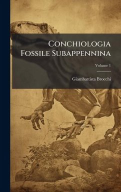 Conchiologia Fossile Subappennina - Brocchi, Giambattista