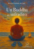 Un Buddha in infradito Un Buddha in infradito