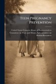 Teen Pregnancy Prevention