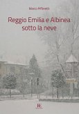 Reggio Emilia e Albinea sotto la neve Reggio Emilia e Albinea sotto la neve
