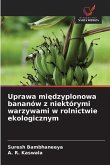 Uprawa mi¿dzyplonowa bananów z niektórymi warzywami w rolnictwie ekologicznym Uprawa mi¿dzyplonowa bananów z niektórymi warzywami w rolnictwie ekologicznym