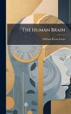 The Human Brain The Human Brain