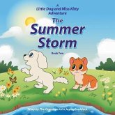 The Summer Storm (eBook, ePUB)