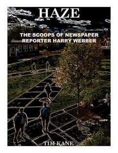 HAZE (eBook, ePUB) Cover HAZE (eBook, ePUB)